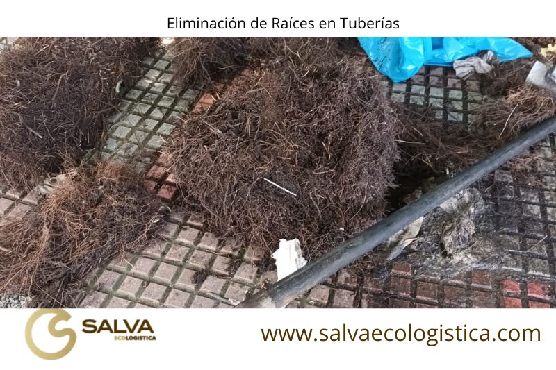 eliminacion_raices_salvaecologistica